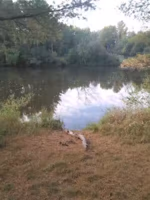 Evart City Walking Trail - Evart,