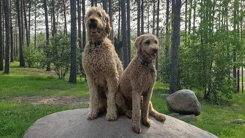 Eveleth Dog Park - Eveleth, MN