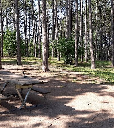 Eveleth Dog Park - Eveleth, MN