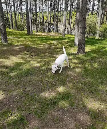 Eveleth Dog Park - Eveleth, MN