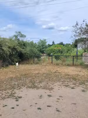 Dog Park at 7-Acre Park - Everett, MA