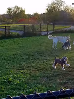 Park L - Everett, MA