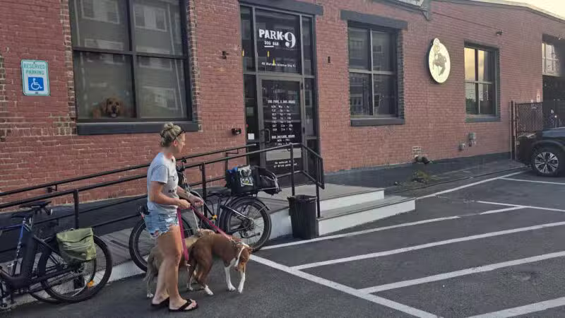 Park-9 Dog Bar - Everett, MA