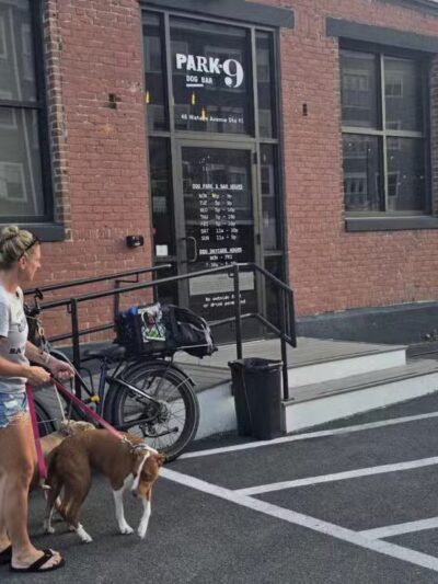 Park-9 Dog Bar - Everett, MA