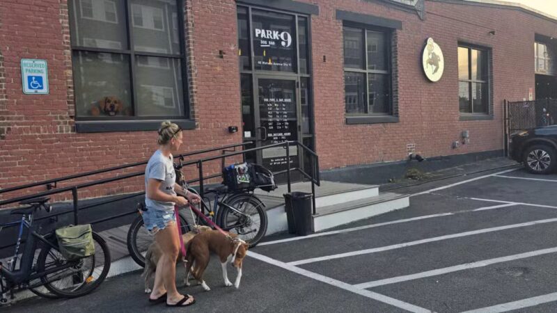 Park-9 Dog Bar - Everett, MA