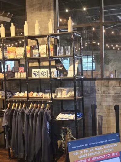 Park-9 Dog Bar - Everett, MA