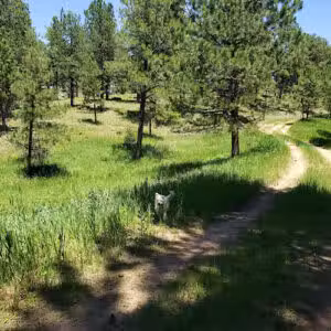 Cub Creek Park - Evergreen, CO