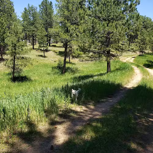 Cub Creek Park - Evergreen, CO
