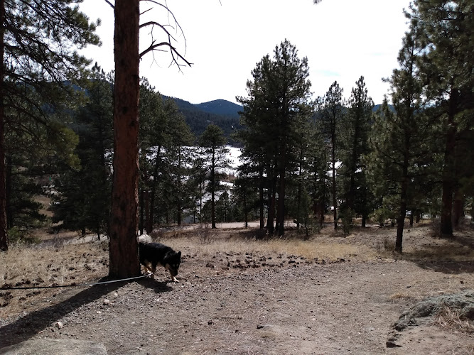 Dedisse Park parking - Evergreen, CO