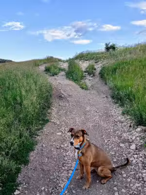 Elk Meadow Park - Evergreen, CO