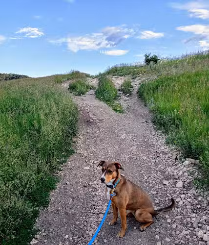 Elk Meadow Park - Evergreen, CO