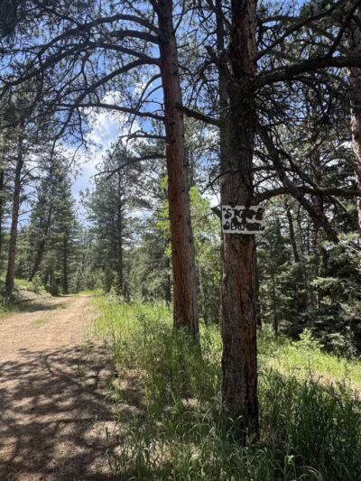 Cub Creek Park - Evergreen, CO