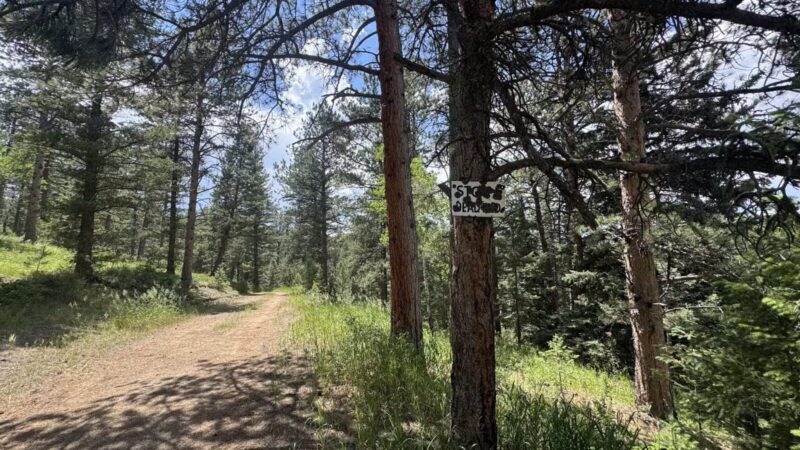 Cub Creek Park - Evergreen, CO