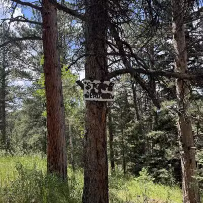 Cub Creek Park - Evergreen, CO