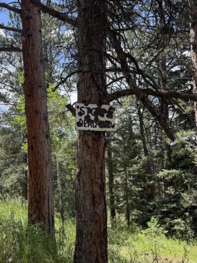 Cub Creek Park - Evergreen, CO