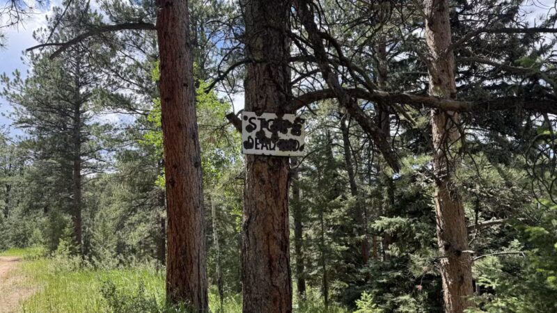 Cub Creek Park - Evergreen, CO