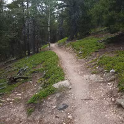 Elk Meadow Park - Evergreen, CO