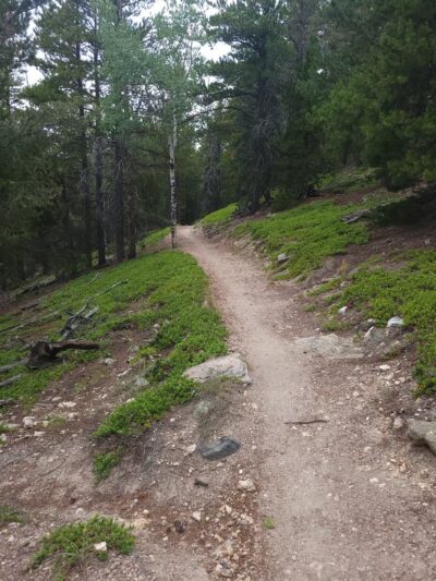 Elk Meadow Park - Evergreen, CO