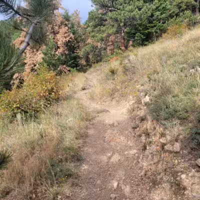 Elk Meadow Park - Evergreen, CO
