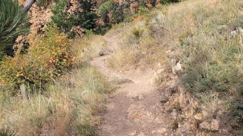 Elk Meadow Park - Evergreen, CO