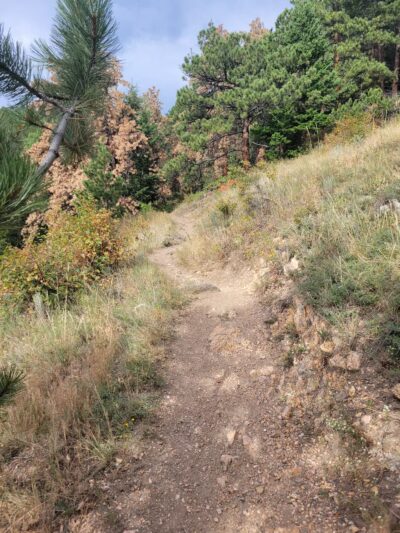Elk Meadow Park - Evergreen, CO