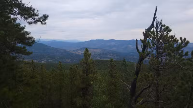 Elk Meadow Park - Evergreen, CO