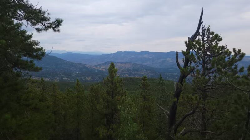 Elk Meadow Park - Evergreen, CO