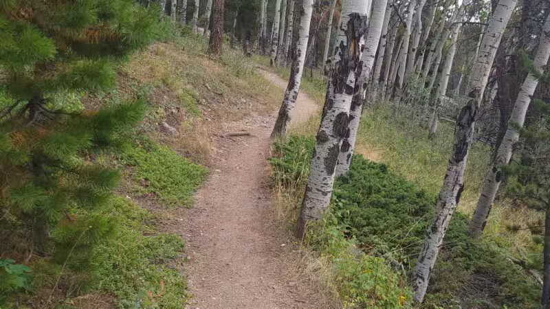 Elk Meadow Park - Evergreen, CO