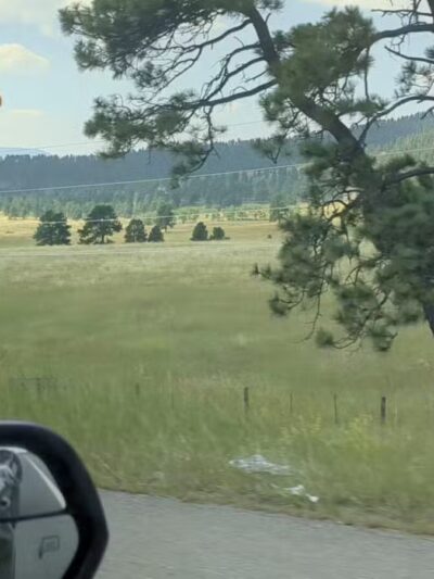 Elk Meadow Park Stagecoach Trailhead - Evergreen, CO