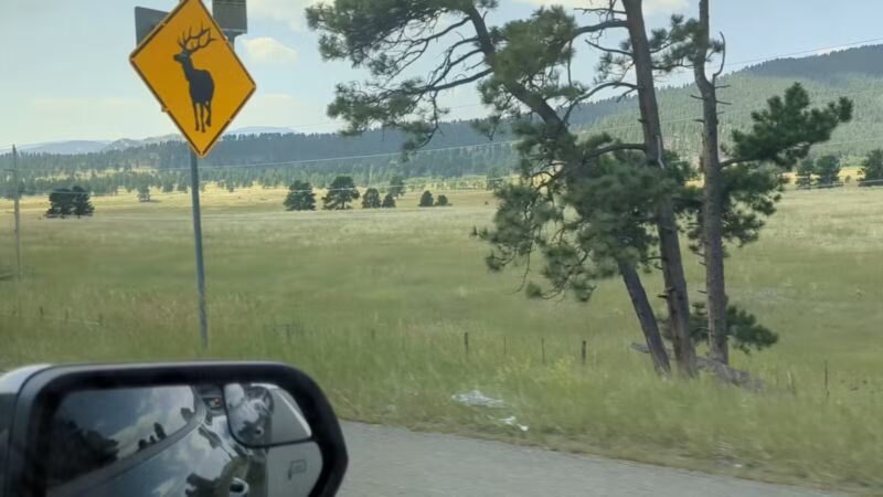 Elk Meadow Park Stagecoach Trailhead - Evergreen, CO