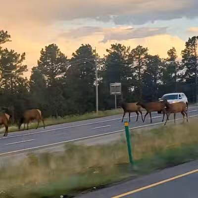 Elk Meadow Park Stagecoach Trailhead - Evergreen, CO