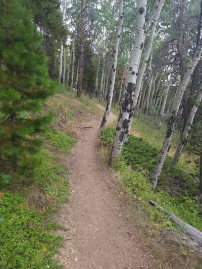 Elk Meadow Park - Evergreen, CO