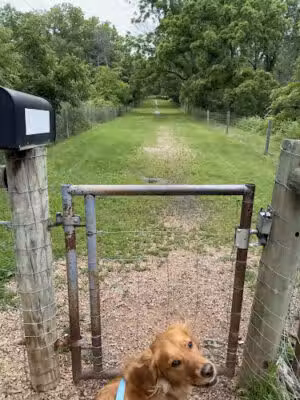 Off Leash Dog Park - Excelsior, MN