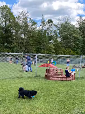 Fur Haven Dog Park - Fair Haven, VT