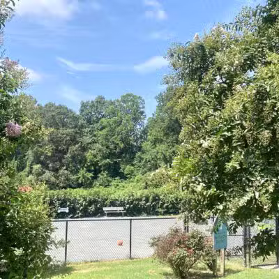Fairfax City Dog Park - Fairfax, VA