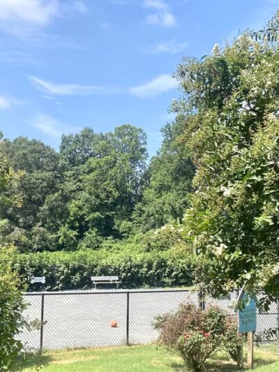 Fairfax City Dog Park - Fairfax, VA