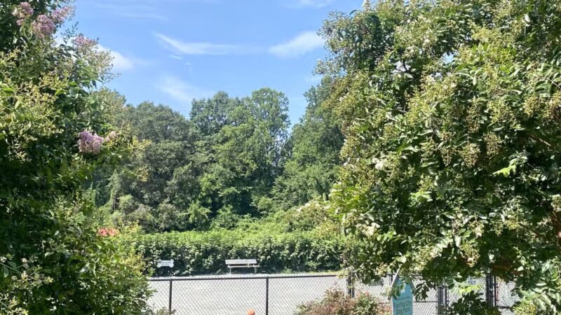 Fairfax City Dog Park - Fairfax, VA