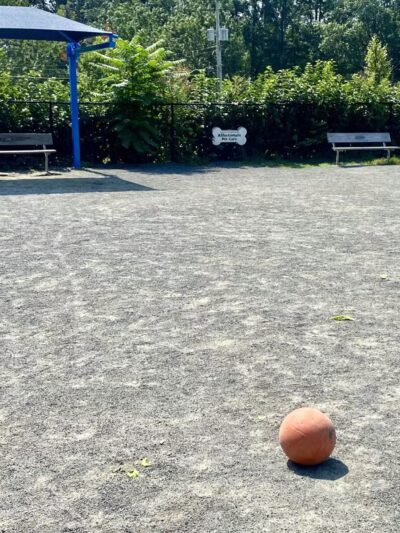 Fairfax City Dog Park - Fairfax, VA