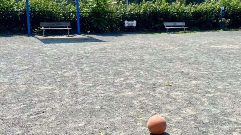 Fairfax City Dog Park - Fairfax, VA