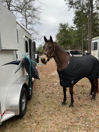 King Creek Campground - Fairfax, SC