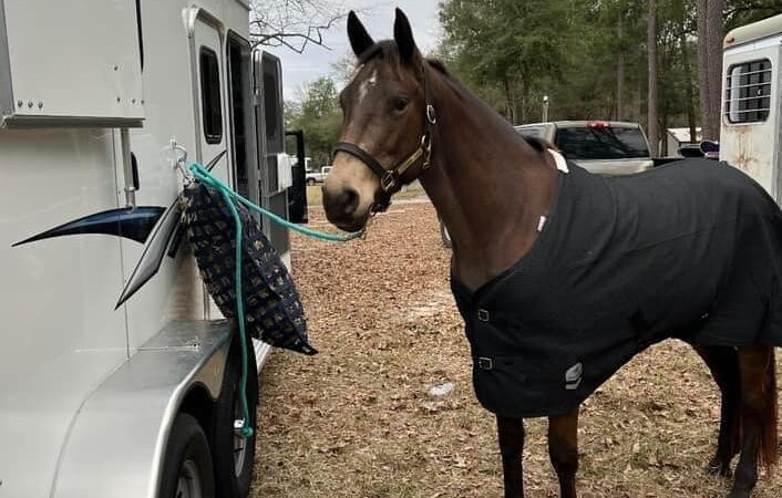 King Creek Campground - Fairfax, SC