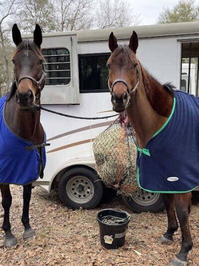 King Creek Campground - Fairfax, SC