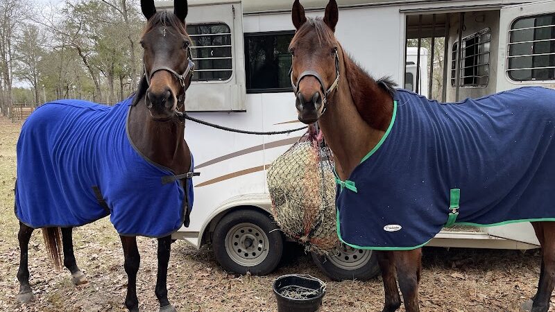 King Creek Campground - Fairfax, SC