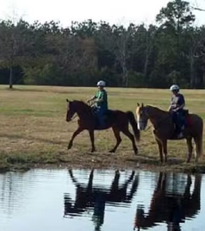 King Creek Campground - Fairfax, SC