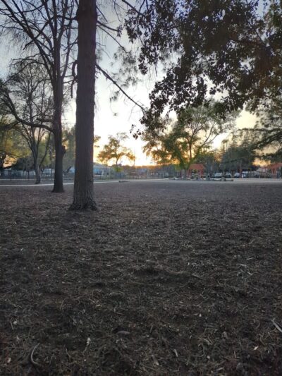 Dog park - Fairfield, CA