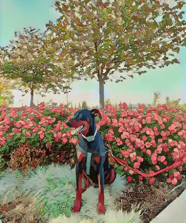 Large Dog Park | Cordelia Community Park, - Fairfield, CA