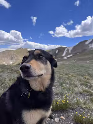 French Pass Trailhead - Fairplay, CO