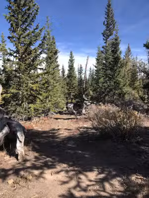 Pika Trail Trailhead - Fairplay, CO