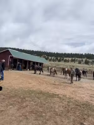 Platte Ranch - Fairplay, CO
