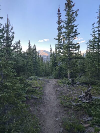Pika Trail Trailhead - Fairplay, CO